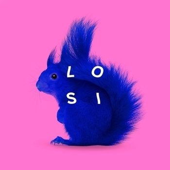 Losi - WUZU