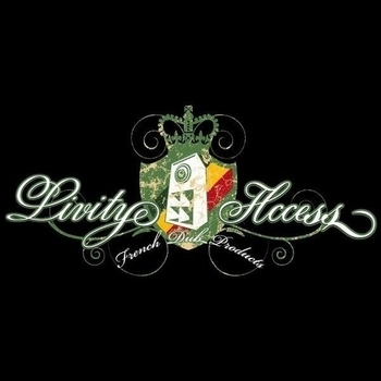 Livity Access - Always Dub