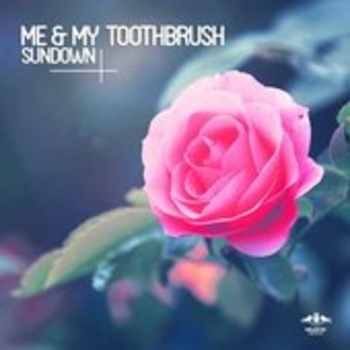 Me & My Toothbrush - One Thing Nora En Pure Remix