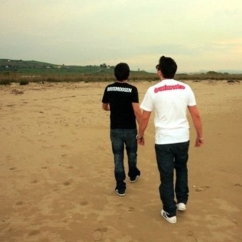 Tube & Berger feat Nice7 - Surfin (Remix) (Introlution 2013)
