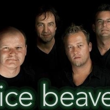 Nice Beaver - Nights in Armour