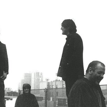 Oranger - Mr. Sandman