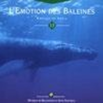 Philippe Bestion - Informers Pulse