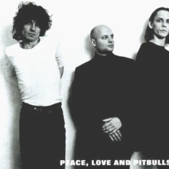 Peace, Love & Pitbulls - Black Dog Bliss