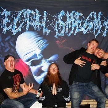 Rectal Smegma - Dildo Lobotomy