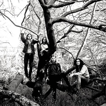 Reverie - Get To Know Me