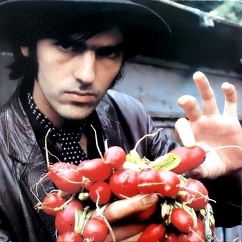 Robyn Hitchcock - The Lizard