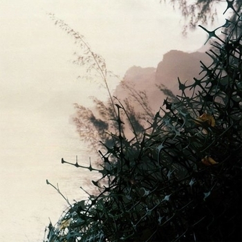 Rhoda - I Miss You