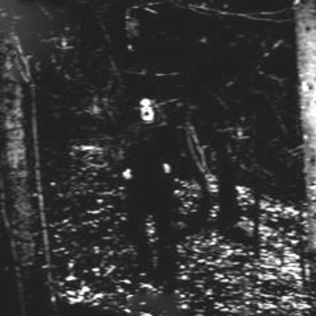 Vetter - Slåtten