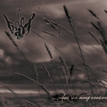 Vaer - Disheartened