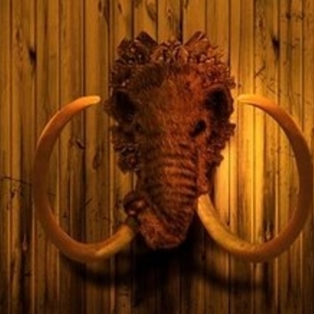 Woolymammoth - Foul Play by Woolymammoth