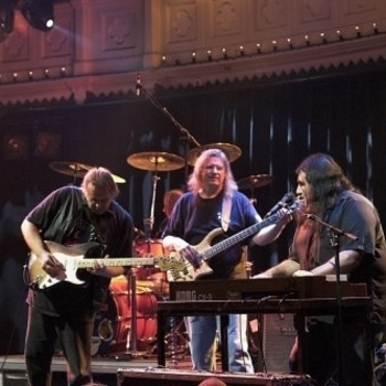 Walter Trout & The Free Radicals - Apparitions