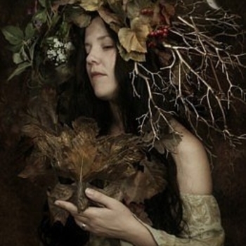 Woodland - Dreamality