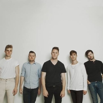 Wild Cub - Straight No Turns