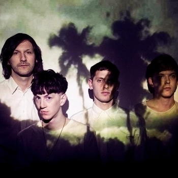Wild Palms - Pick it Up