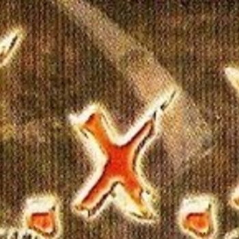 X.X.X. - Sein Vermächtnis