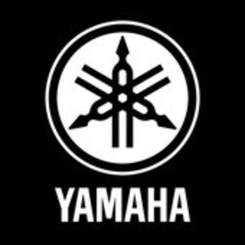 Баянист и Yamaha - Чёрная луна (Cover)