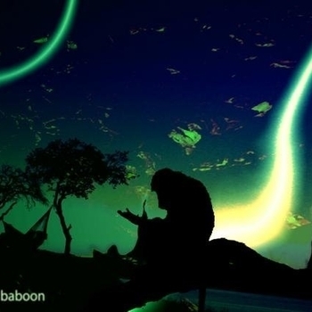 Zen Baboon - Cloud Garden