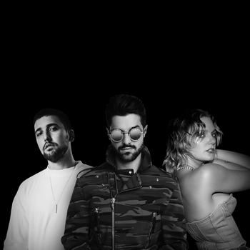 Alok, Ilkay Sencan, Tove Lo - Don't Say Goodbye