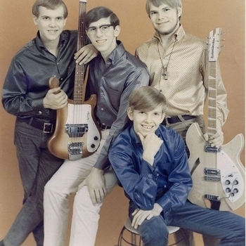 The Castaways - Liar Liar