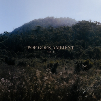 Pop Goes Ambient - Sweater Weather