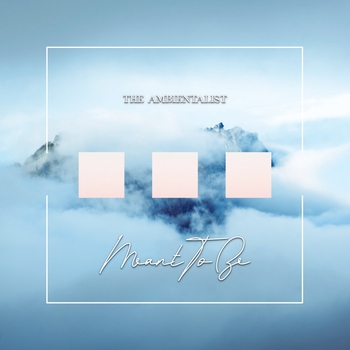 The Ambientalist - The Words We Say