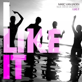 2-4 Grooves - Like the Way I Do (Steve Murano Electro Makeover Remix)