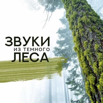 Оптимальный Релакс Проект - Осуществление желаний