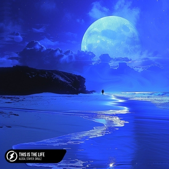 Stayer - Hangover