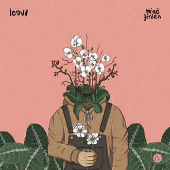 Leavv, Mr.Käfer - Airwalks