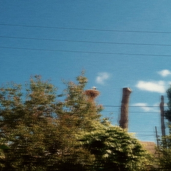 Ъ12 - Dixon