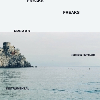 but are you ok? - Freaks (Echo & Muffled) (Instrumental)