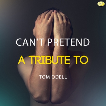 Ameritz - Tributes - Mr. Tambourine Man