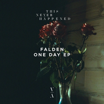 Jerro - Are You There (Falden Remix)