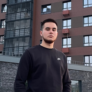 Dubrovsky, DIPP - Маневр