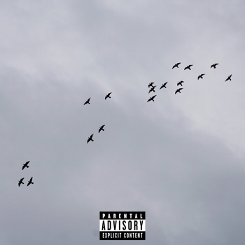 Tvrk - Краски