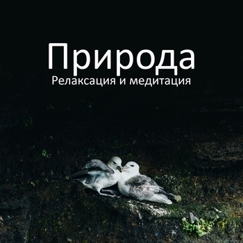 Ансамбль Звуков Природы - Звуки ветра