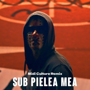 Randi - Prinț Şi Cerşetor (Midi Culture Remix)