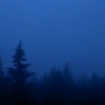 ateki, vanrssh - insomnia.