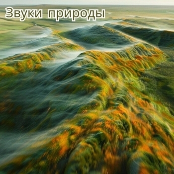 Звуки изобилия - Отголоски благосостояния