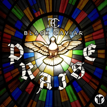 Blackway, Black Caviar - What's Up Danger