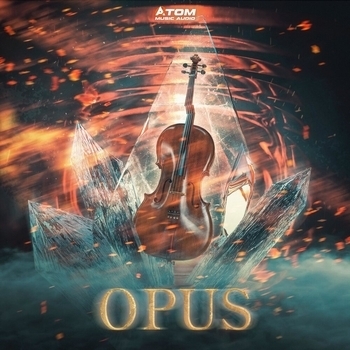 Atom Music Audio - Demons