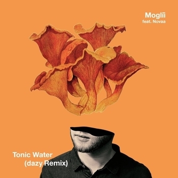 Moglii - Indiigo