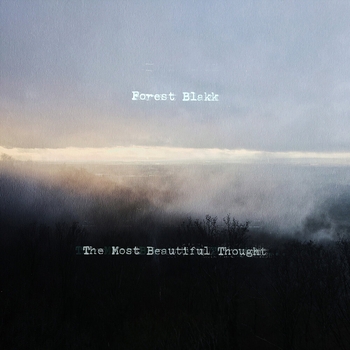 Forest Blakk - Love Me (GAMPER & DADONI Remix)