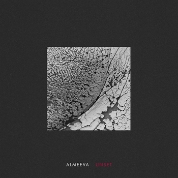 Edgework - Peak (Almeeva Remix)