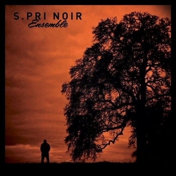 S.Pri Noir - T'as capté