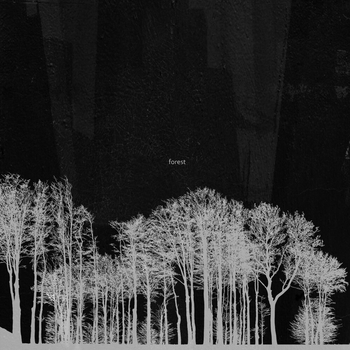 Lazyshau - forest