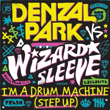 Wizard Sleeve - These Days