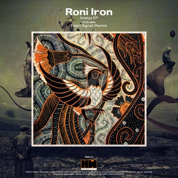 Roni Iron - Controversial Love