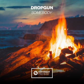 Dropgun - H2SO4